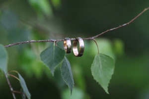 Wedding rings on a spring branch